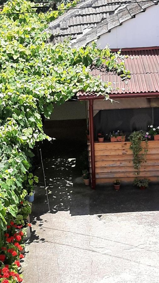 Bcm Family House Hotel Două Mai Eksteriør billede